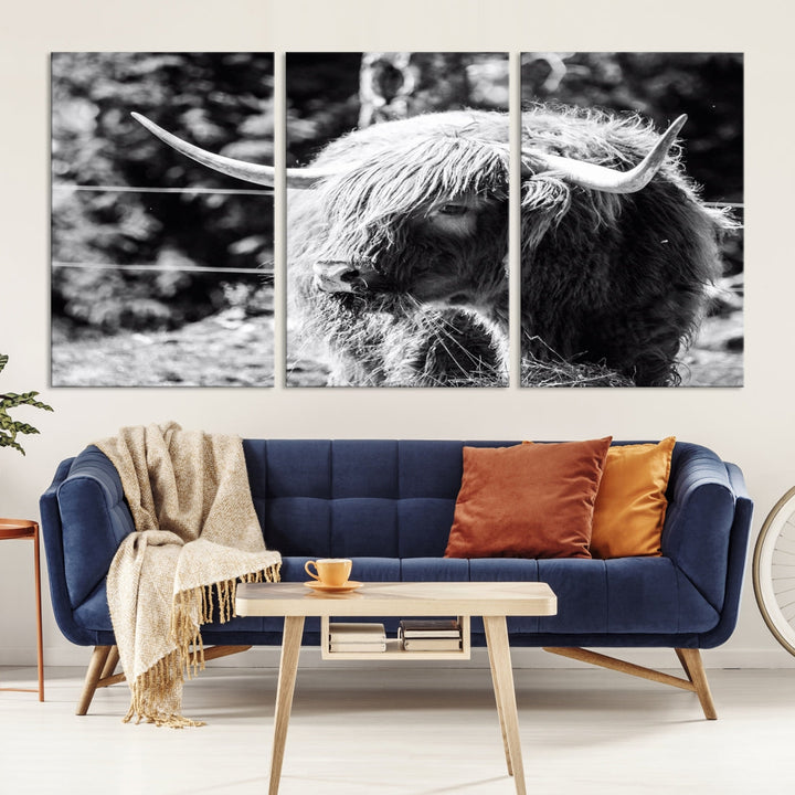 Black and White Highland Cow Canvas Wall Art Print Nature Photograph Canvas Art Large Cow Print Panel Canvas Set