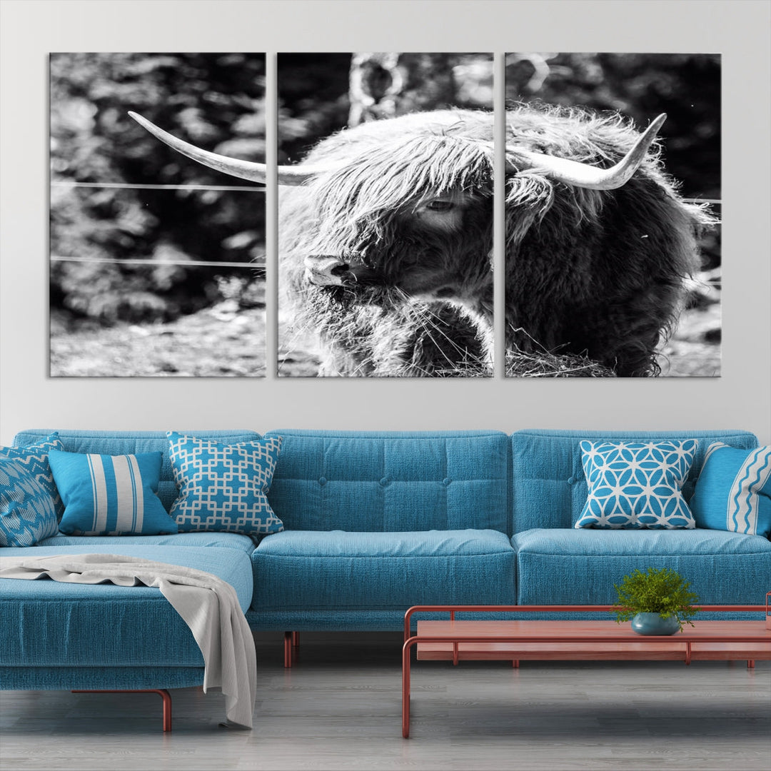 Black and White Highland Cow Canvas Wall Art Print Nature Photograph Canvas Art Large Cow Print Panel Canvas Set