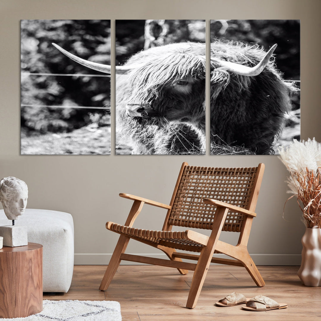 Black and White Highland Cow Canvas Wall Art Print Nature Photograph Canvas Art Large Cow Print Panel Canvas Set