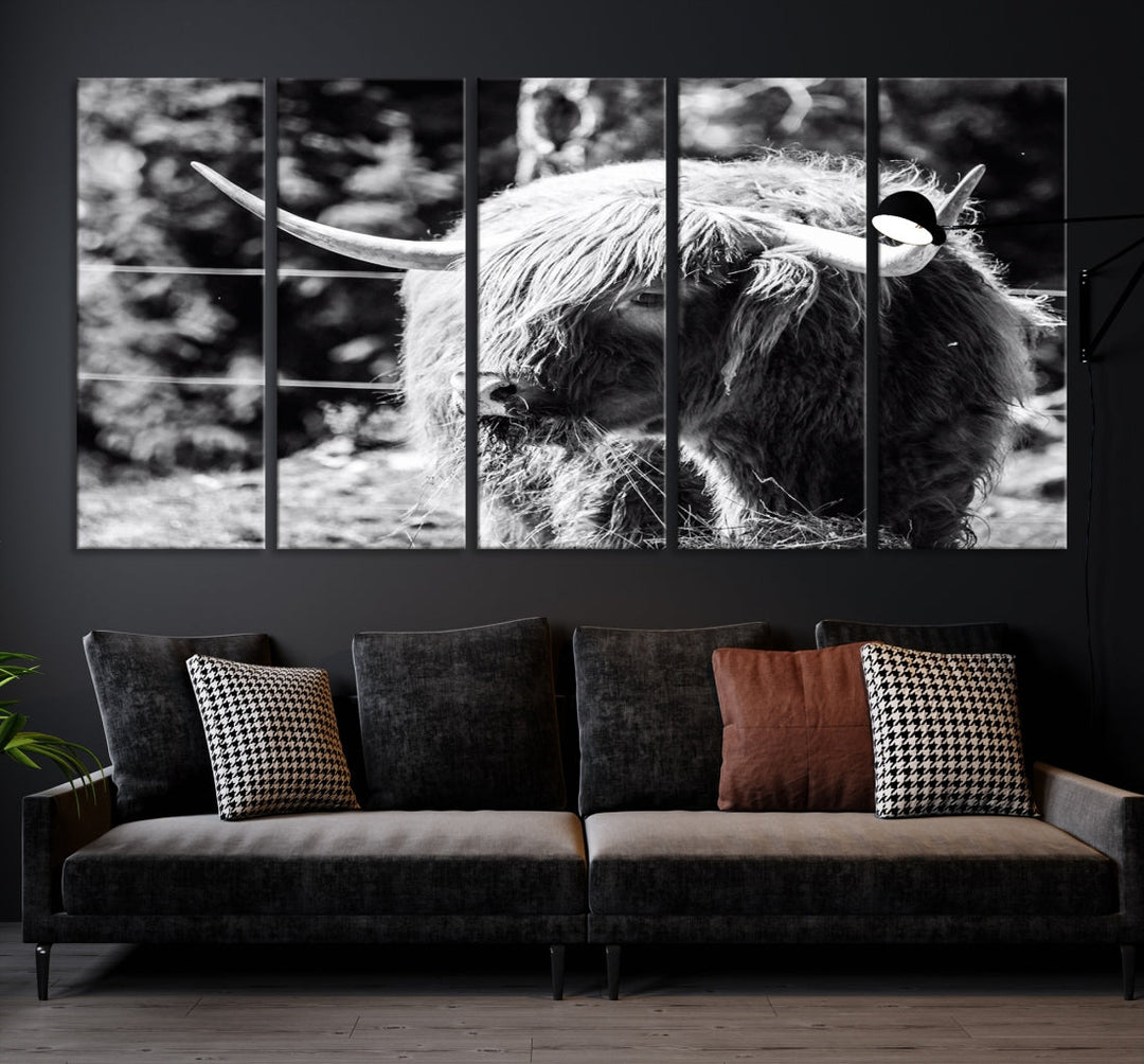 Black and White Highland Cow Canvas Wall Art Print Nature Photograph Canvas Art Large Cow Print Panel Canvas Set