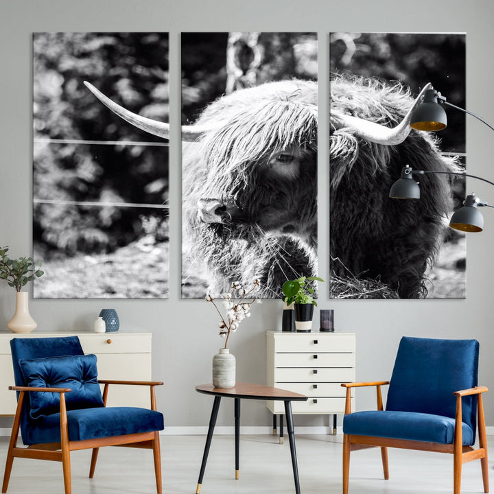 Black and White Highland Cow Canvas Wall Art Print Nature Photograph Canvas Art Large Cow Print Panel Canvas Set