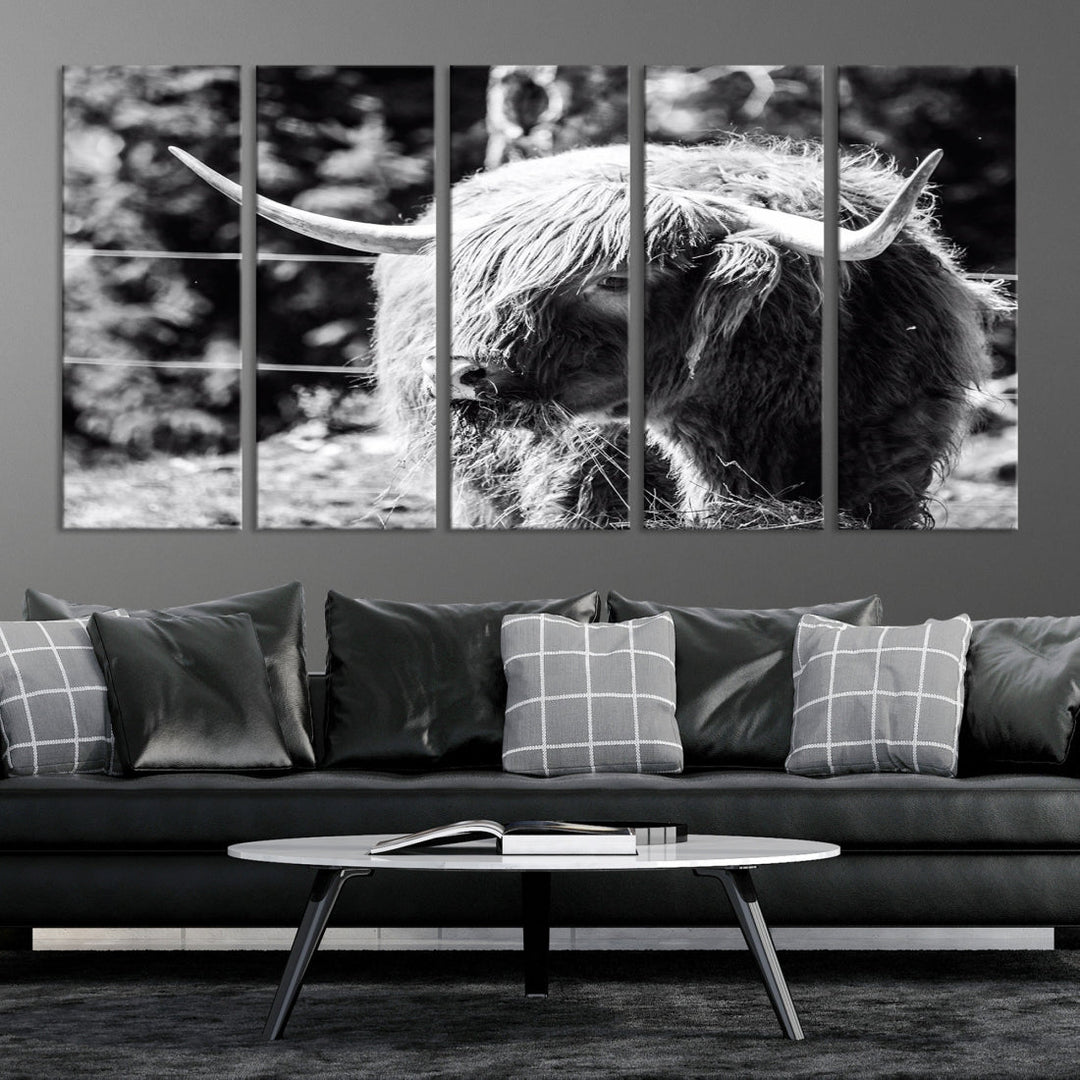 Black and White Highland Cow Canvas Wall Art Print Nature Photograph Canvas Art Large Cow Print Panel Canvas Set