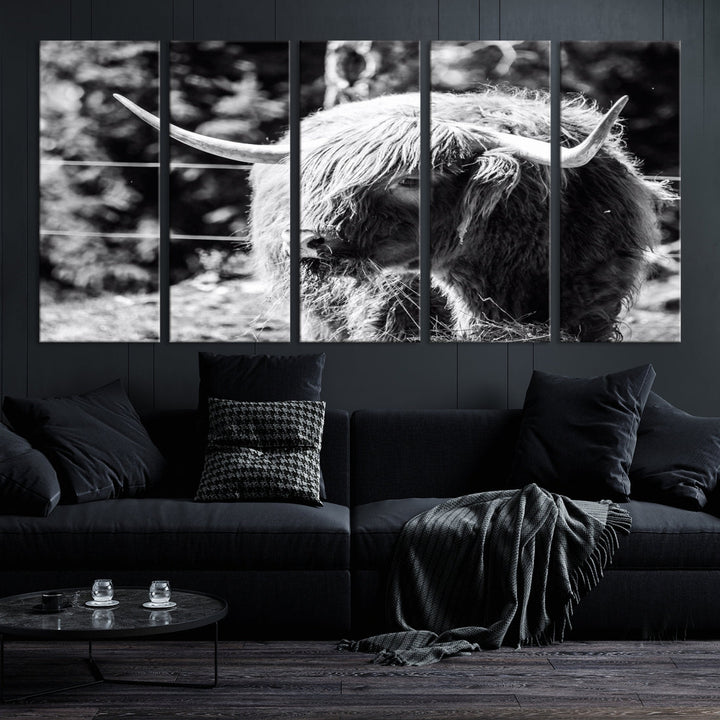 Black and White Highland Cow Canvas Wall Art Print Nature Photograph Canvas Art Large Cow Print Panel Canvas Set