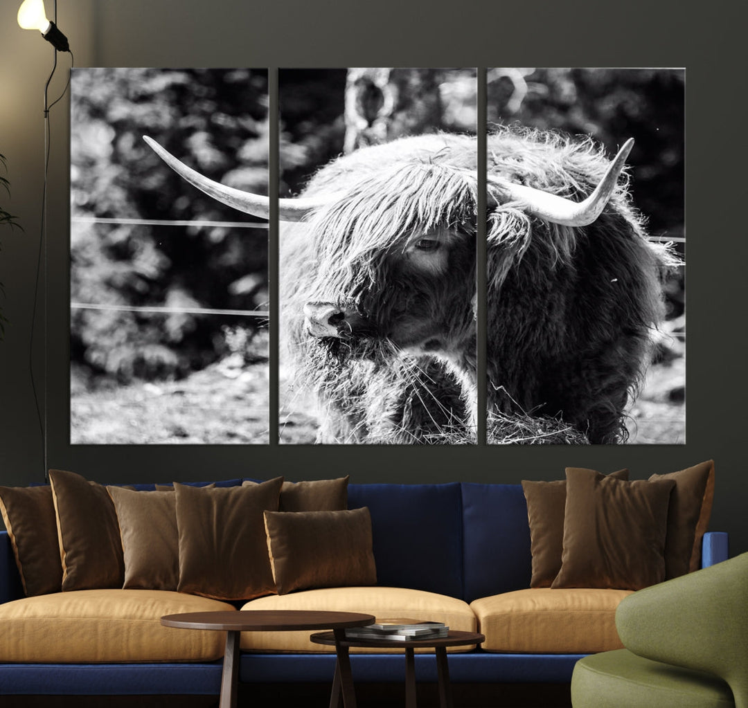 Black and White Highland Cow Canvas Wall Art Print Nature Photograph Canvas Art Large Cow Print Panel Canvas Set