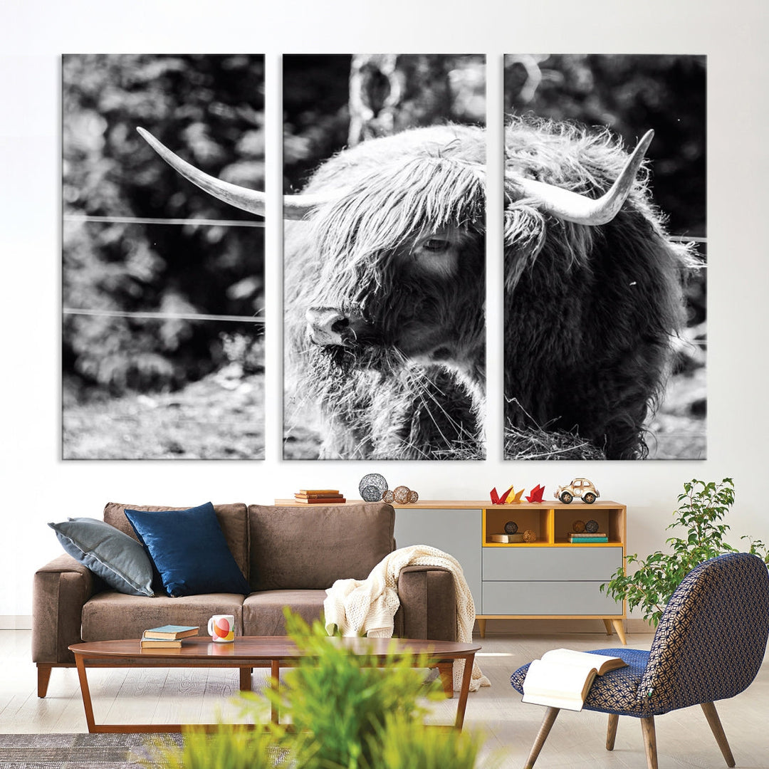 Black and White Highland Cow Canvas Wall Art Print Nature Photograph Canvas Art Large Cow Print Panel Canvas Set