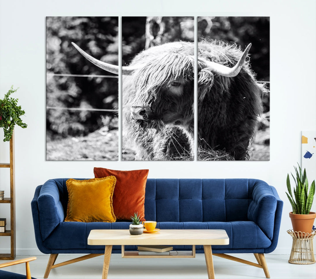 Black and White Highland Cow Canvas Wall Art Print Nature Photograph Canvas Art Large Cow Print Panel Canvas Set