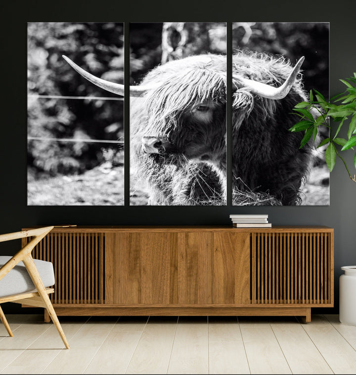 Black and White Highland Cow Canvas Wall Art Print Nature Photograph Canvas Art Large Cow Print Panel Canvas Set