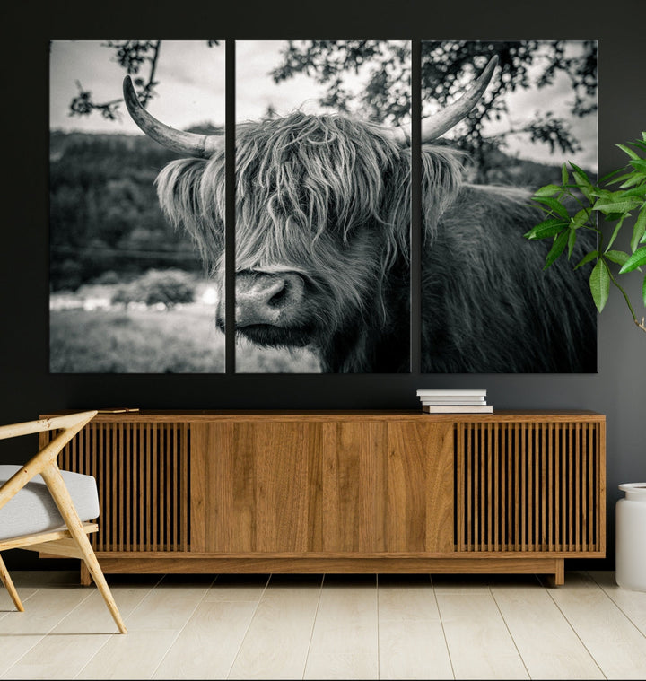 Black and White Highland Cow Wall Art Canvas Print Scottish Cattle Canvas Art