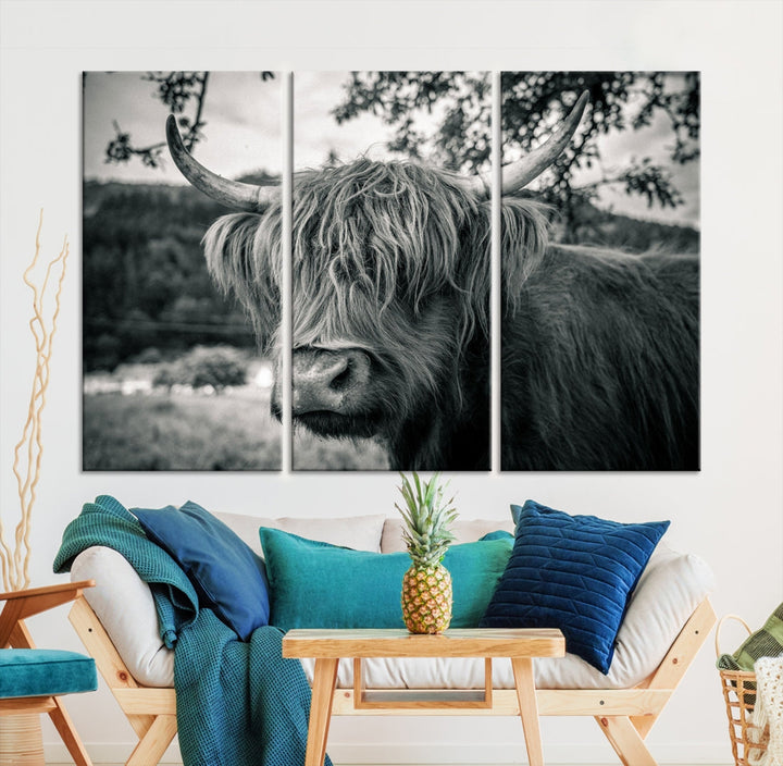 Black and White Highland Cow Wall Art Canvas Print Scottish Cattle Canvas Art