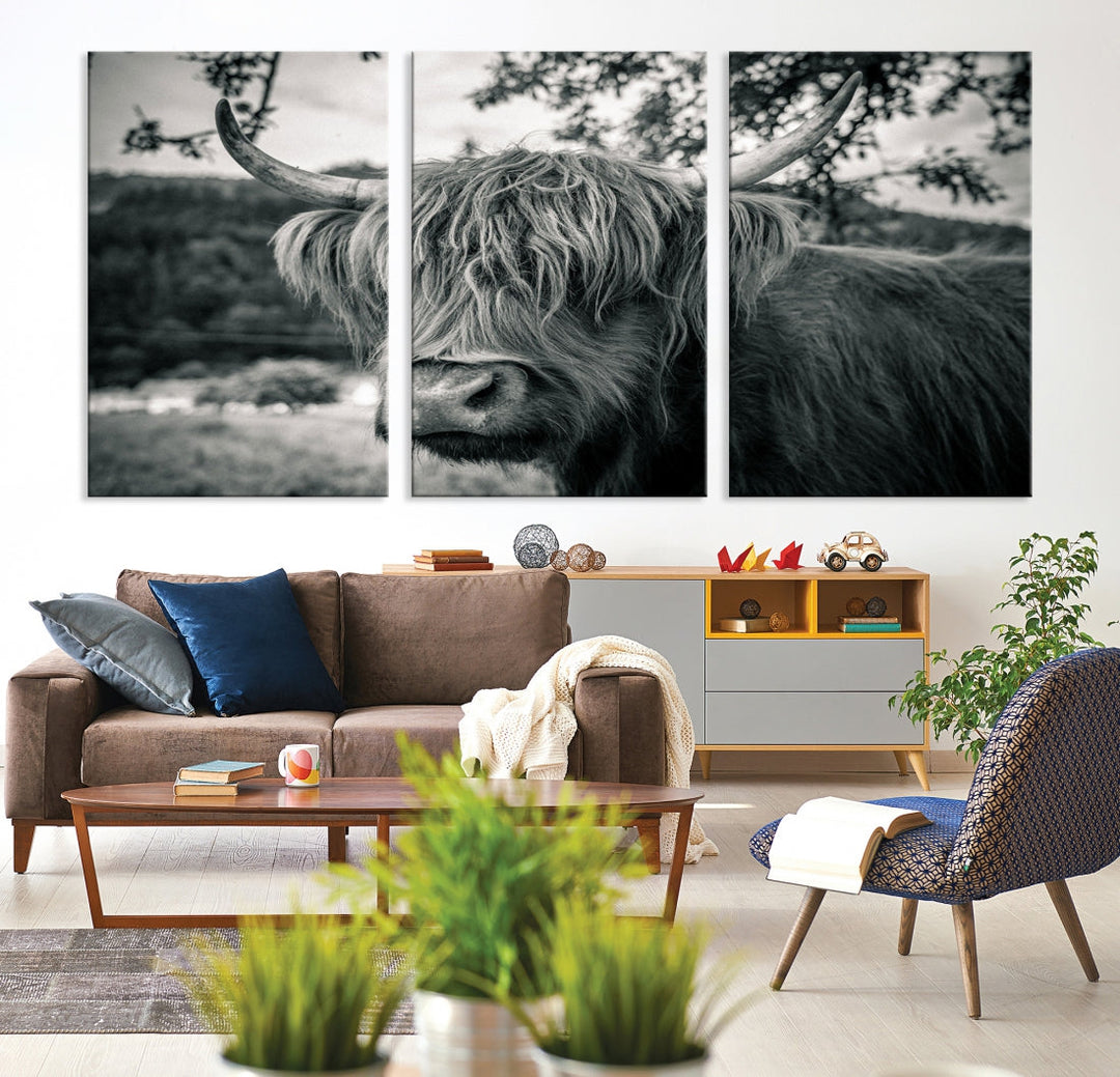 Black and White Highland Cow Wall Art Canvas Print Scottish Cattle Canvas Art