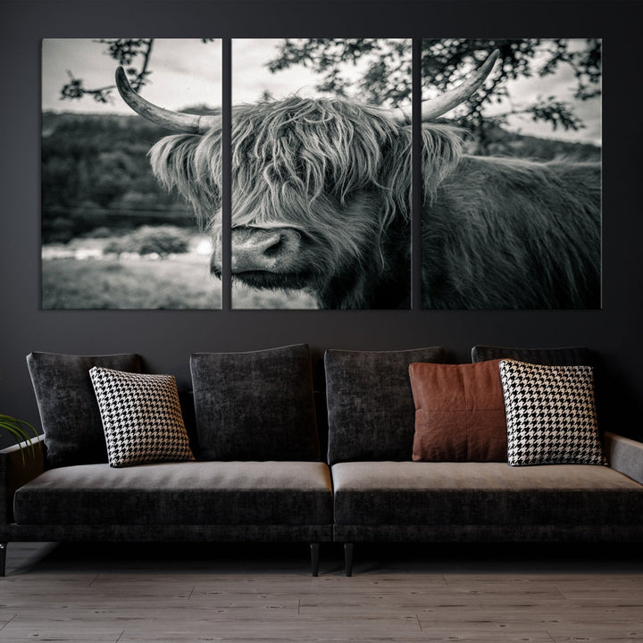 Black and White Highland Cow Wall Art Canvas Print Scottish Cattle Canvas Art