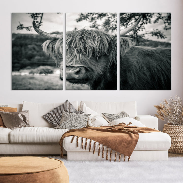 Black and White Highland Cow Wall Art Canvas Print Scottish Cattle Canvas Art