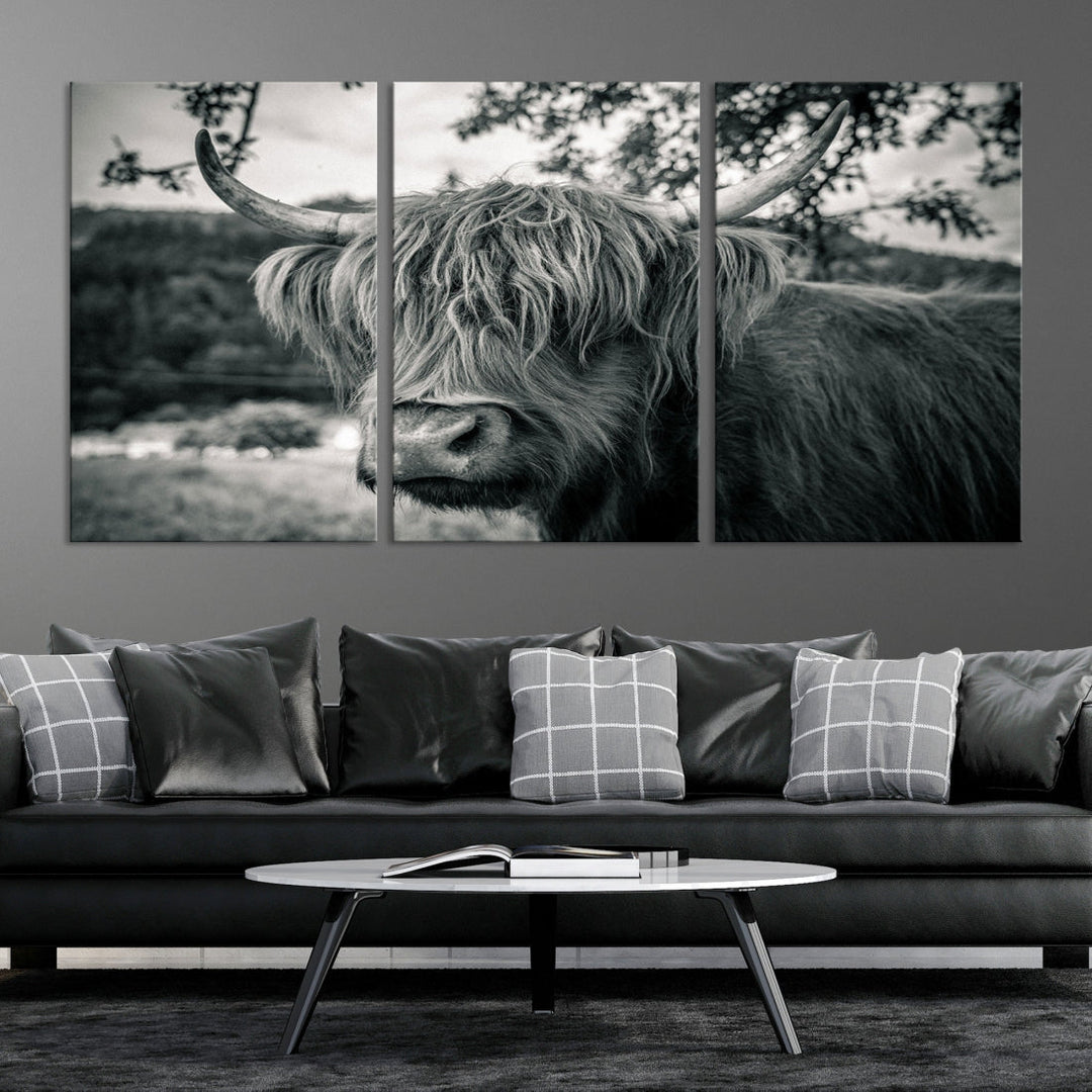 Black and White Highland Cow Wall Art Canvas Print Scottish Cattle Canvas Art