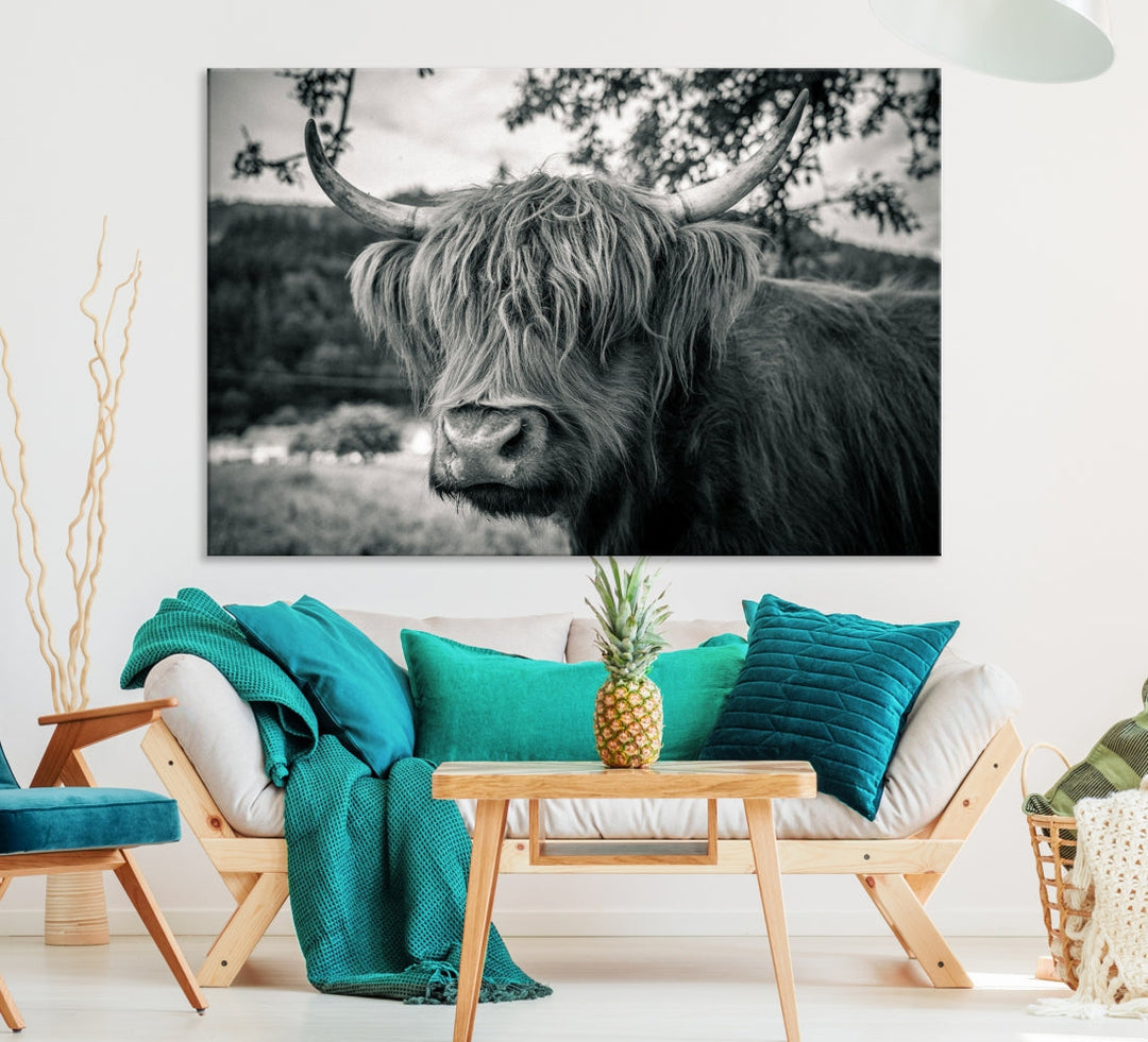 Black and White Highland Cow Wall Art Canvas Print Scottish Cattle Canvas Art