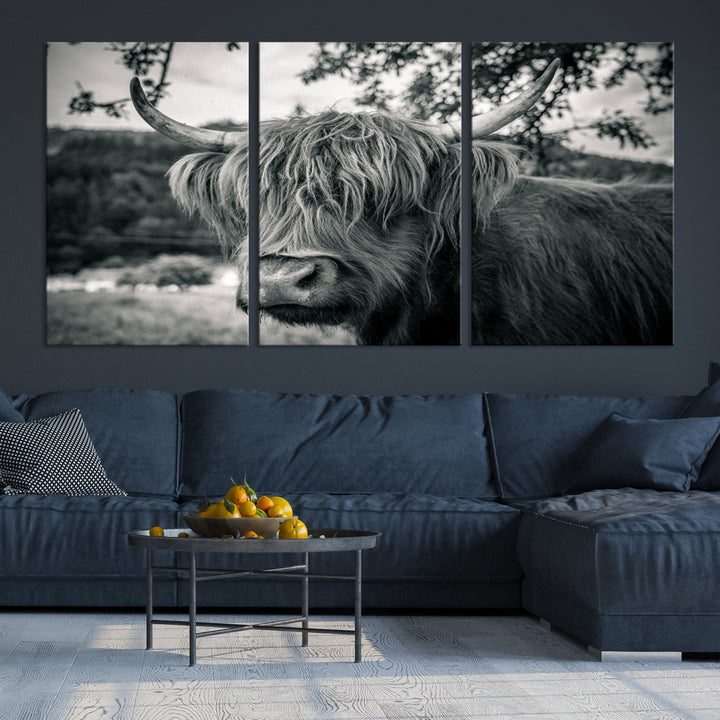 Black and White Highland Cow Wall Art Canvas Print Scottish Cattle Canvas Art