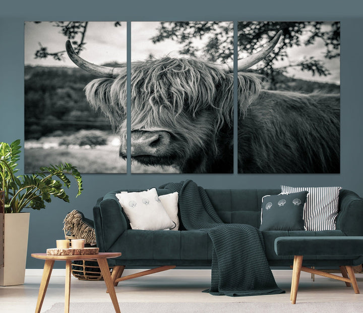 Black and White Highland Cow Wall Art Canvas Print Scottish Cattle Canvas Art