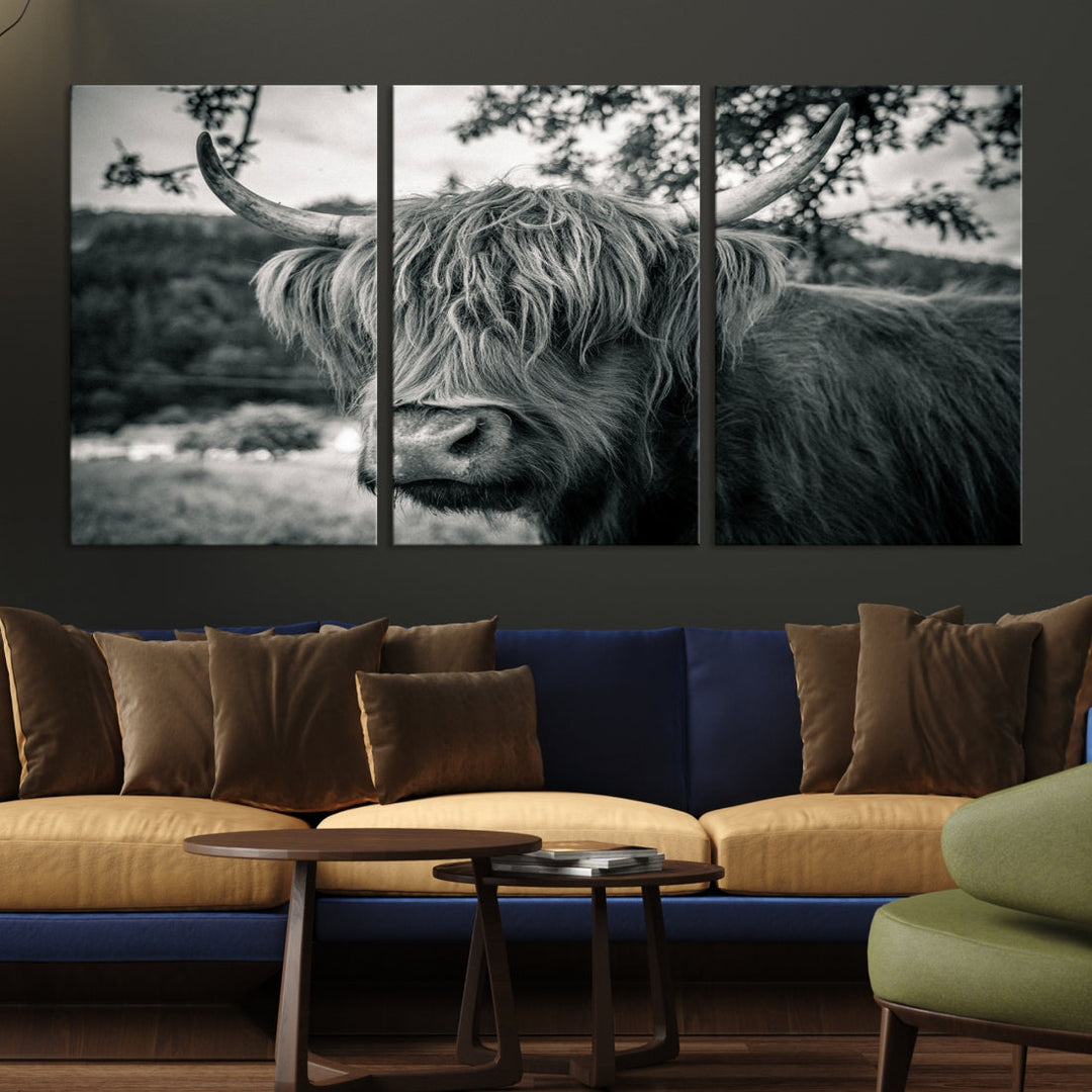 Black and White Highland Cow Wall Art Canvas Print Scottish Cattle Canvas Art