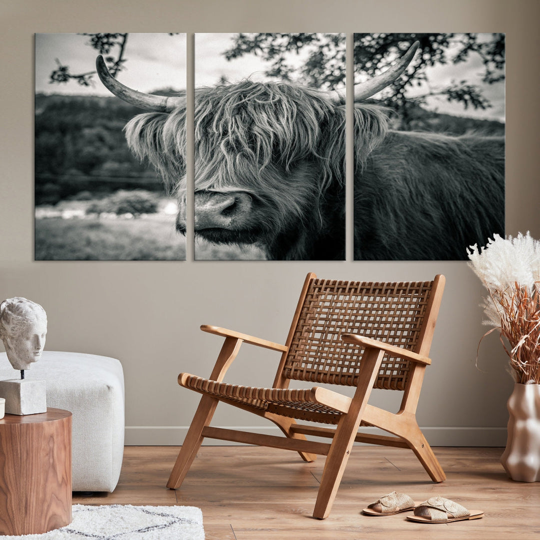 Black and White Highland Cow Wall Art Canvas Print Scottish Cattle Canvas Art