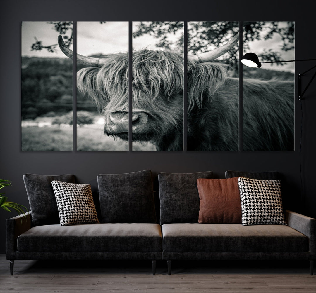 Black and White Highland Cow Wall Art Canvas Print Scottish Cattle Canvas Art