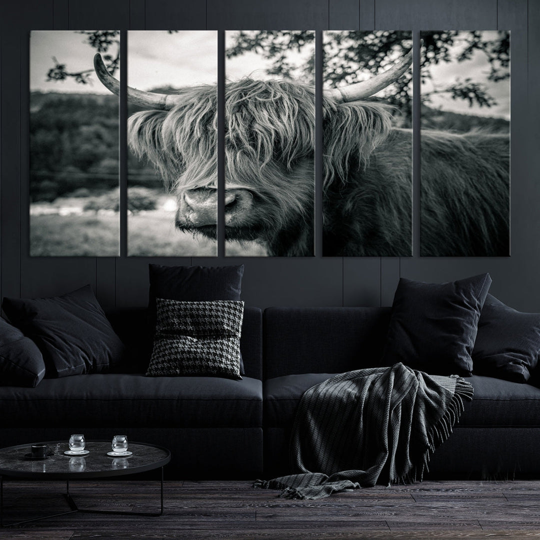 Black and White Highland Cow Wall Art Canvas Print Scottish Cattle Canvas Art