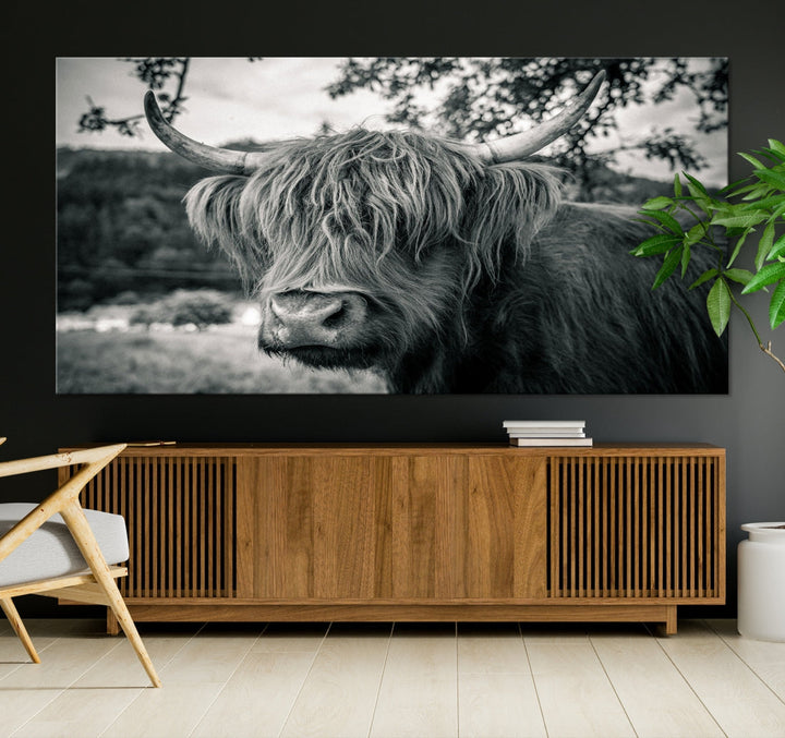 Black and White Highland Cow Wall Art Canvas Print Scottish Cattle Canvas Art