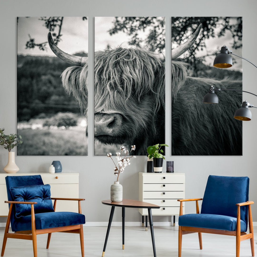 Black and White Highland Cow Wall Art Canvas Print Scottish Cattle Canvas Art