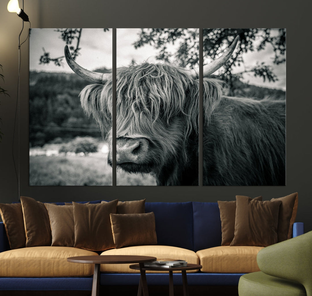 Black and White Highland Cow Wall Art Canvas Print Scottish Cattle Canvas Art