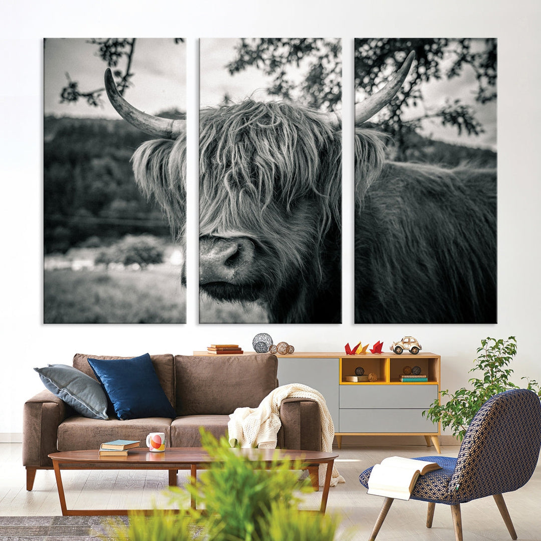 Black and White Highland Cow Wall Art Canvas Print Scottish Cattle Canvas Art