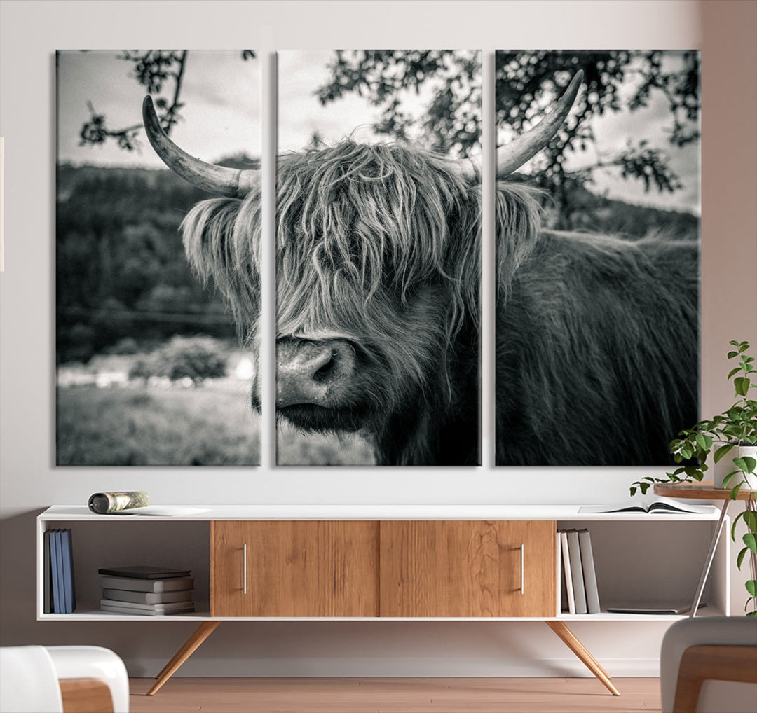 Black and White Highland Cow Wall Art Canvas Print Scottish Cattle Canvas Art