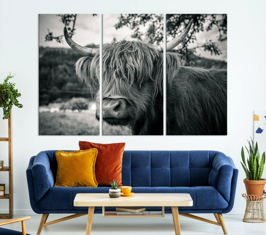 Black and White Highland Cow Wall Art Canvas Print Scottish Cattle Canvas Art