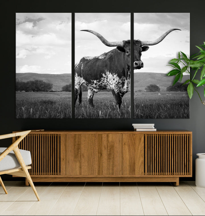 Black and White Longhorn Texas Cow Canvas Print Large Wall Art Framed