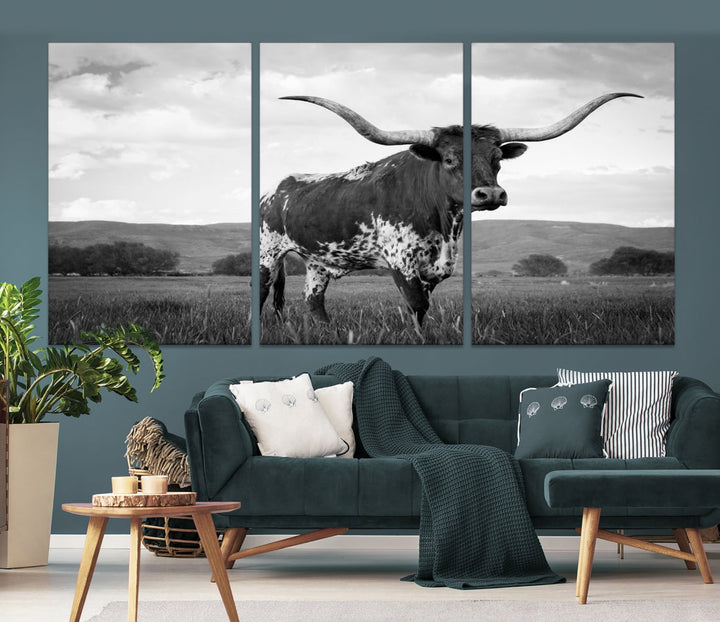 Black and White Longhorn Texas Cow Canvas Print Large Wall Art Framed