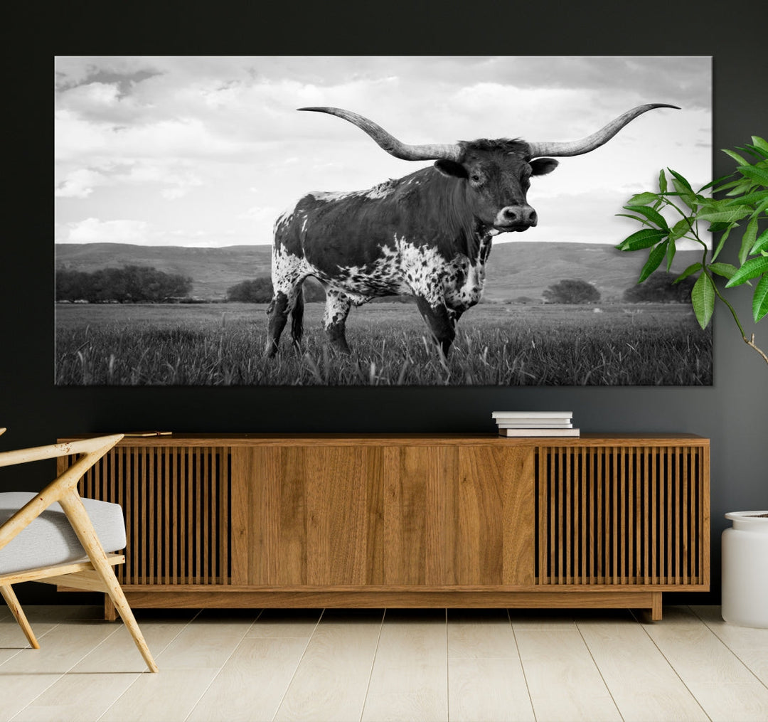 Black and White Longhorn Texas Cow Canvas Print Large Wall Art Framed