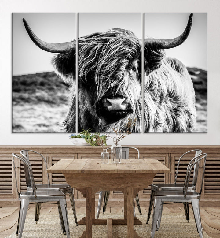 Black and White Scottish Cow Canvas Wall Art Highland Cattle Canvas Print