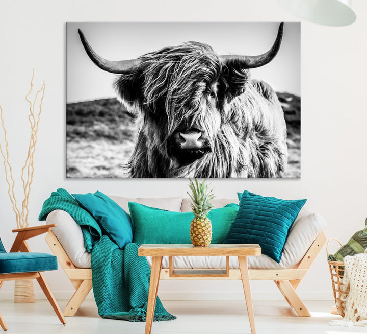 Black and White Scottish Cow Canvas Wall Art Highland Cattle Canvas Print