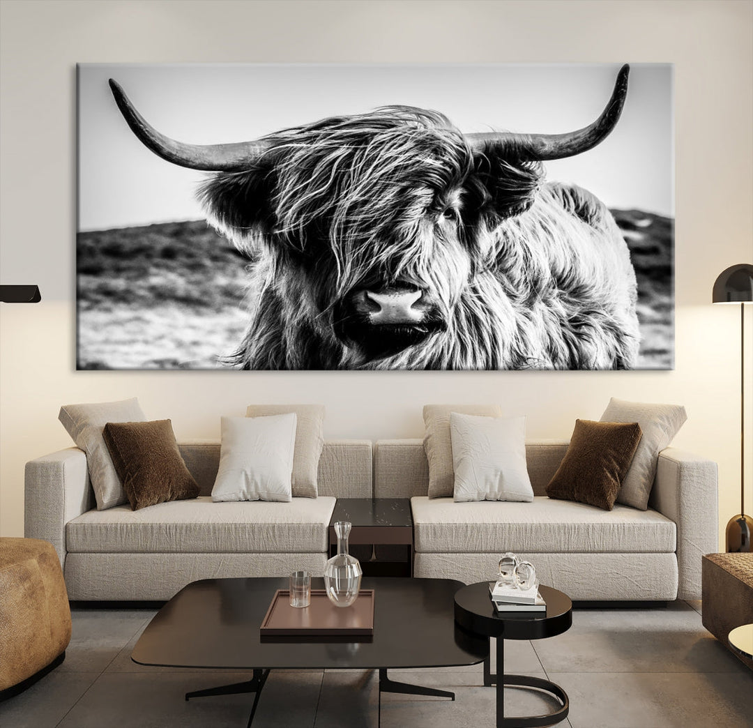 Black and White Scottish Cow Canvas Wall Art Highland Cattle Canvas Print