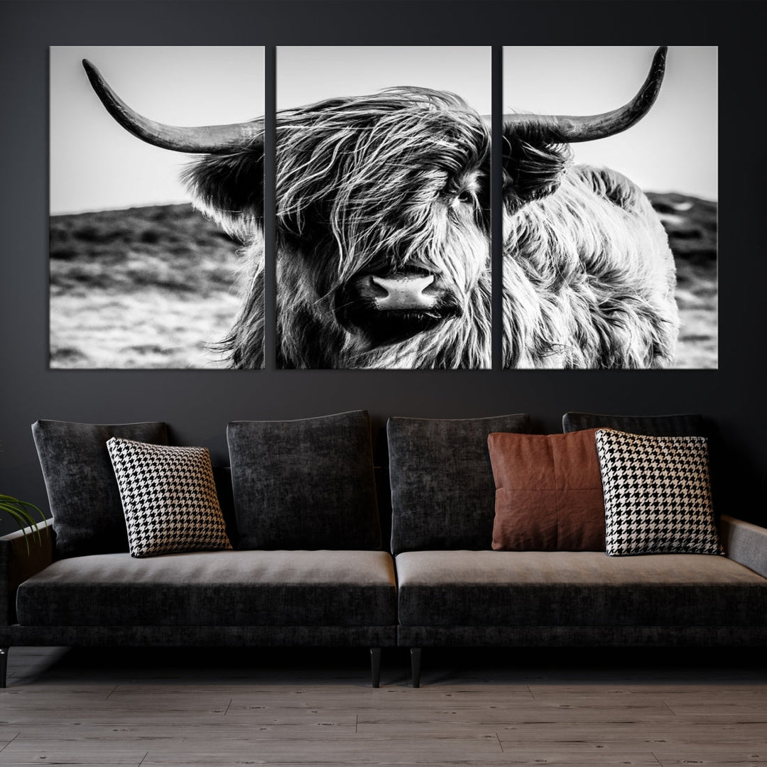 Black and White Scottish Cow Canvas Wall Art Highland Cattle Canvas Print