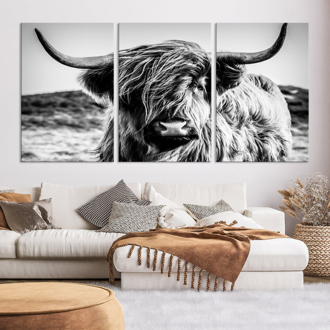 Black and White Scottish Cow Canvas Wall Art Highland Cattle Canvas Print