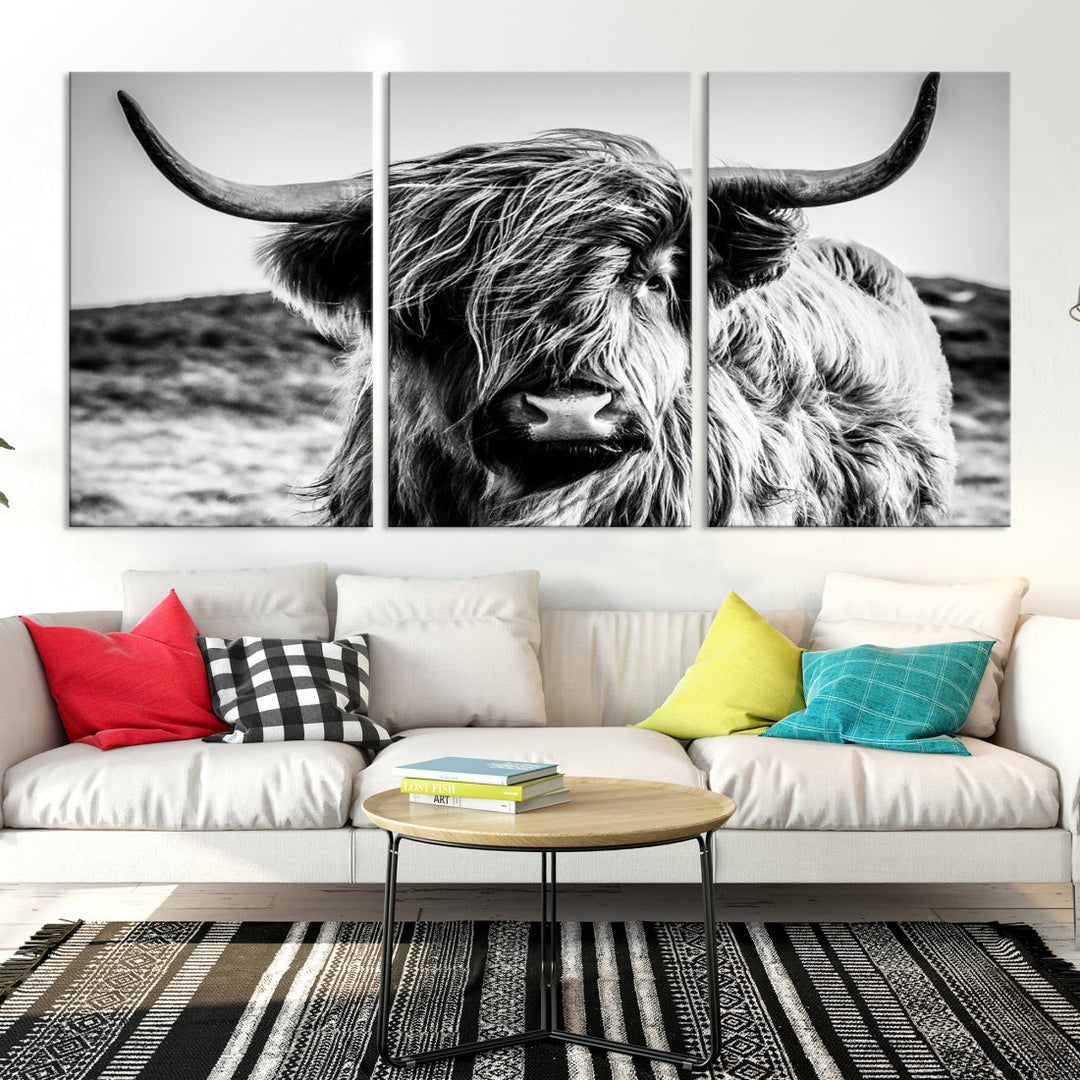 Black and White Scottish Cow Canvas Wall Art Highland Cattle Canvas Print