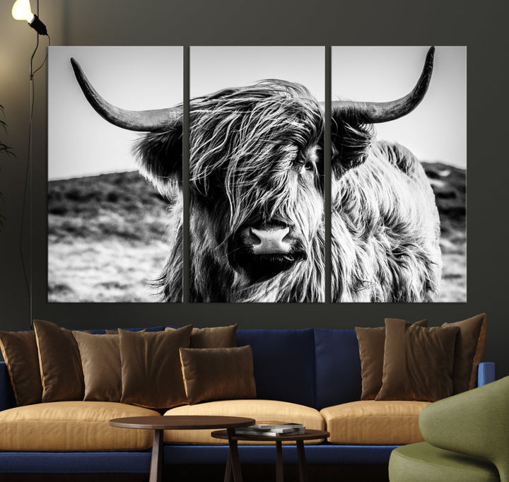 Black and White Scottish Cow Canvas Wall Art Highland Cattle Canvas Print