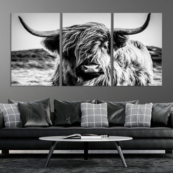 Black and White Scottish Cow Canvas Wall Art Highland Cattle Canvas Print