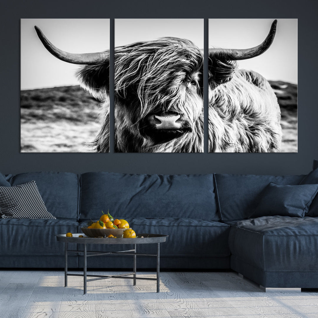 Black and White Scottish Cow Canvas Wall Art Highland Cattle Canvas Print