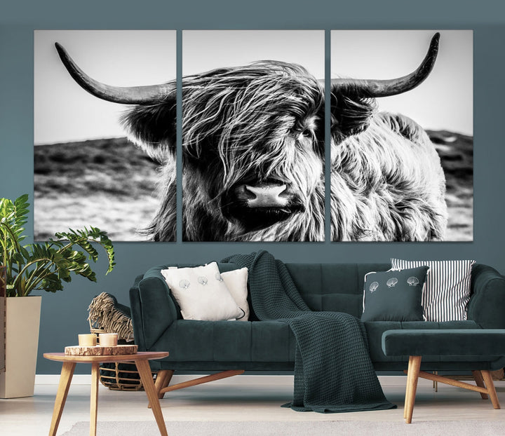 Black and White Scottish Cow Canvas Wall Art Highland Cattle Canvas Print