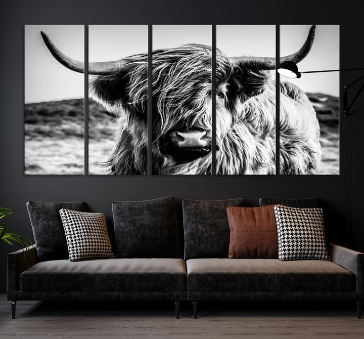 Black and White Scottish Cow Canvas Wall Art Highland Cattle Canvas Print