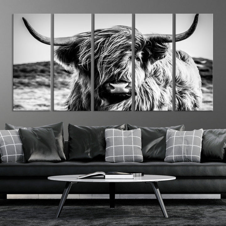 Black and White Scottish Cow Canvas Wall Art Highland Cattle Canvas Print