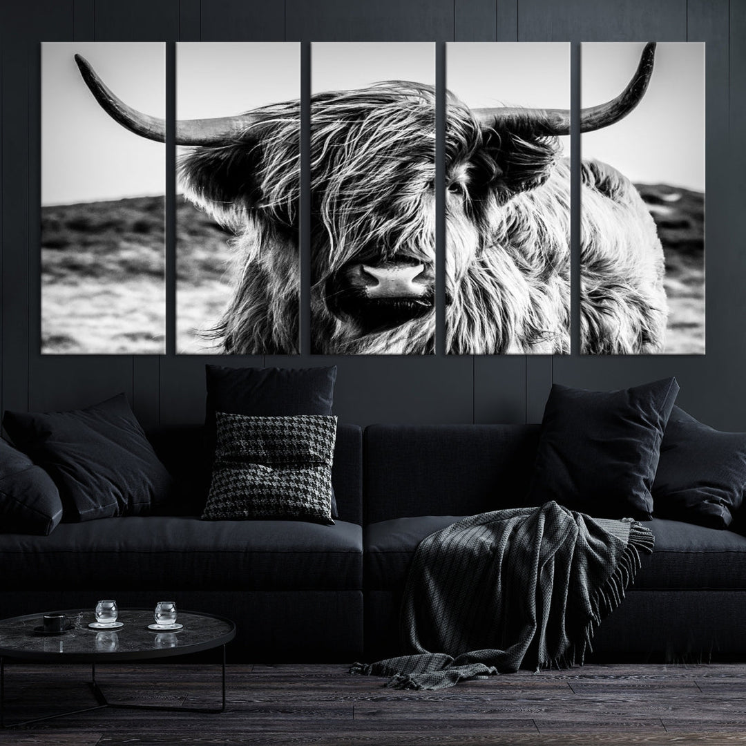 Black and White Scottish Cow Canvas Wall Art Highland Cattle Canvas Print