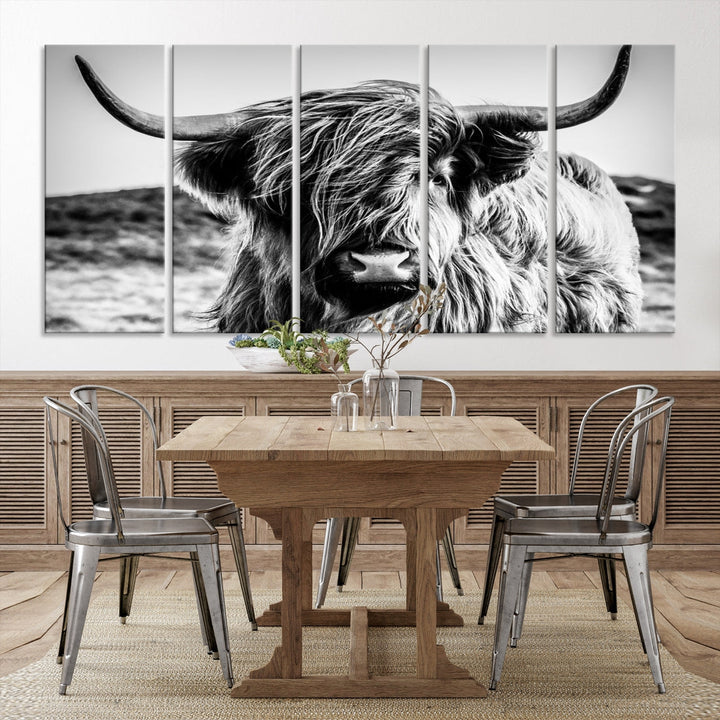 Black and White Scottish Cow Canvas Wall Art Highland Cattle Canvas Print