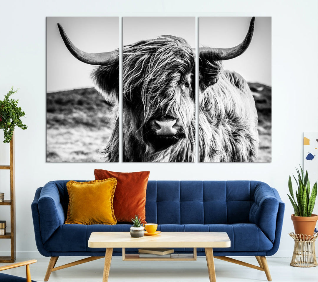 Black and White Scottish Cow Canvas Wall Art Highland Cattle Canvas Print