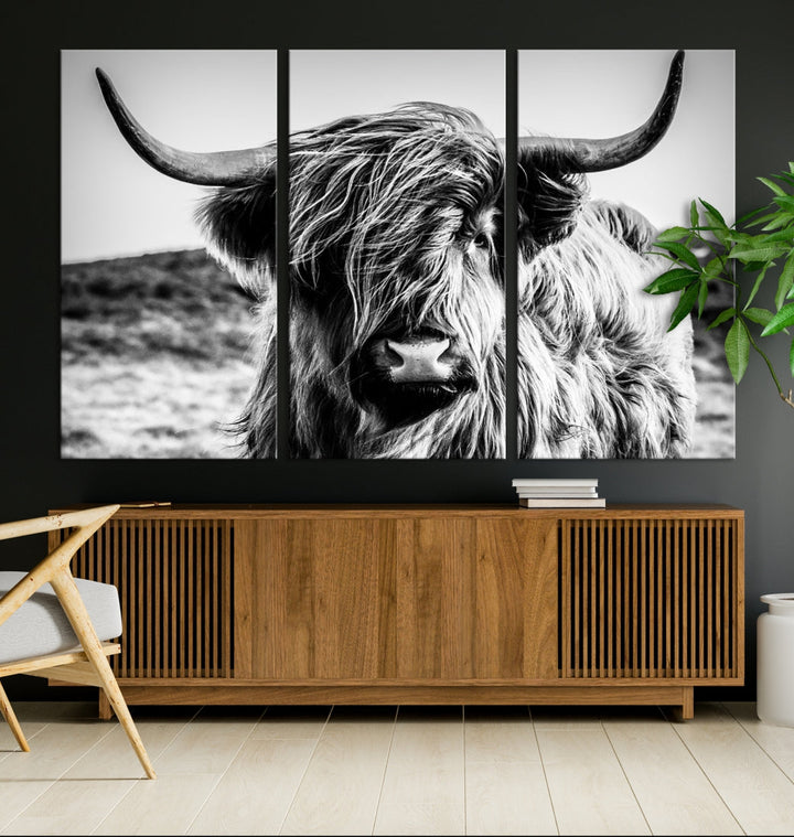 Black and White Scottish Cow Canvas Wall Art Highland Cattle Canvas Print