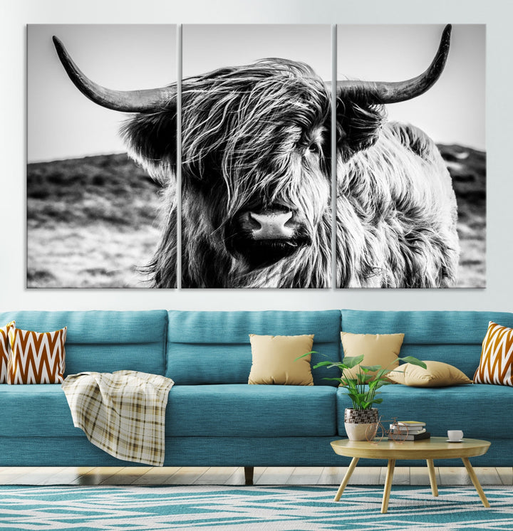 Black and White Scottish Cow Canvas Wall Art Highland Cattle Canvas Print